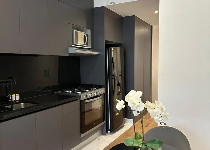 Charming Loft En La Roma Apartment Mexico City